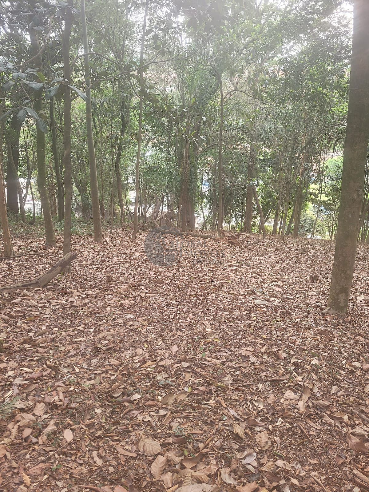 S�o Paulo/SP - Perus