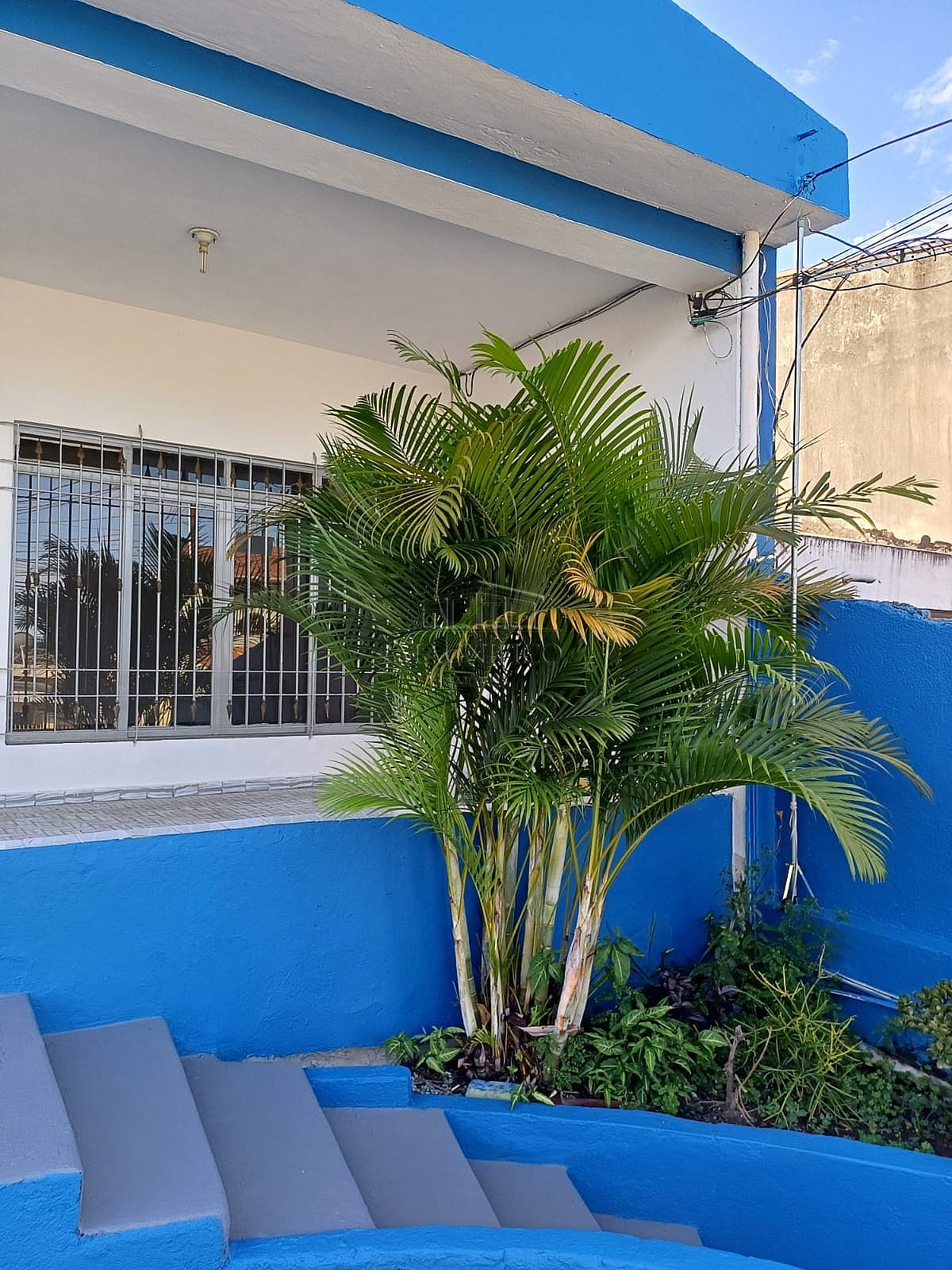 Casa comercial So Paulo  Vila Paranagu  